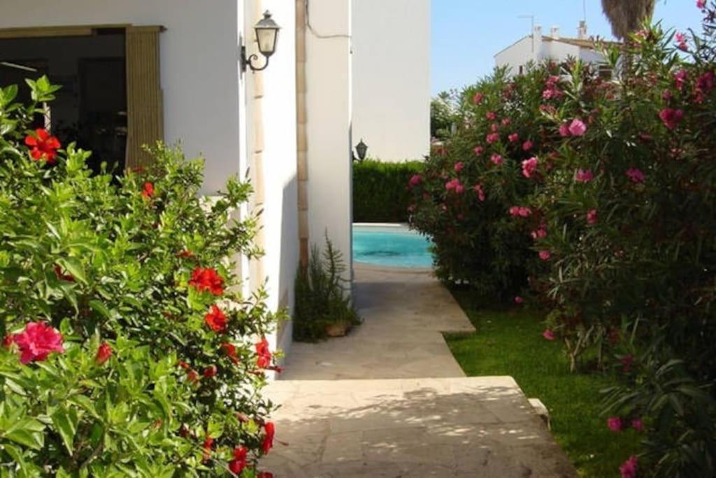 Rotonda Apartaments فيلانيتكس المظهر الخارجي الصورة